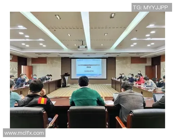 重庆飞盘队实力对比深度解析与未来发展趋势探讨